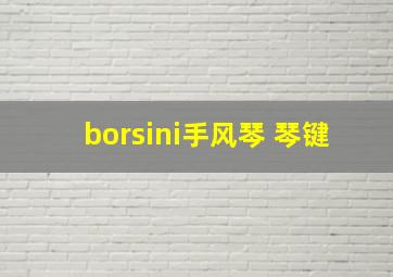 borsini手风琴 琴键